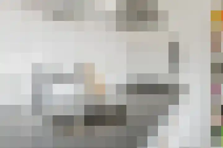Landsteinerlaan 39 Groningen thumbnail 15