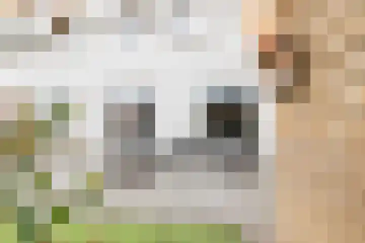 Landsteinerlaan 39 Groningen thumbnail 27
