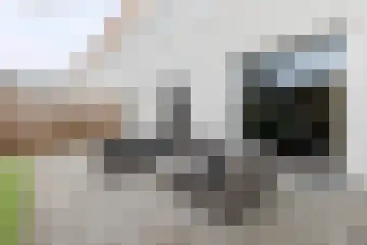 Landsteinerlaan 39 Groningen thumbnail 28
