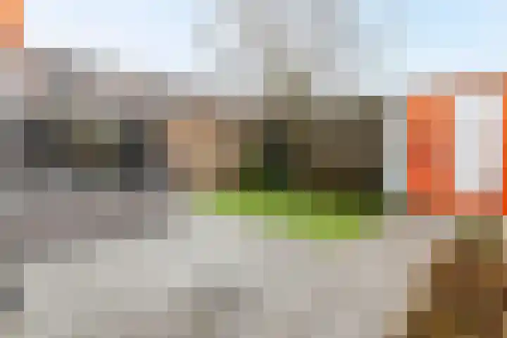 Landsteinerlaan 39 Groningen thumbnail 29