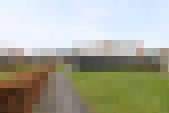 Landsteinerlaan 39 Groningen thumbnail 33