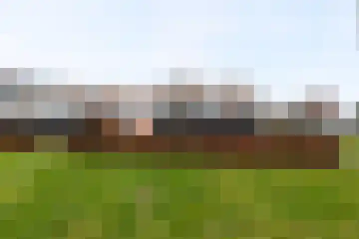 Landsteinerlaan 39 Groningen thumbnail 34