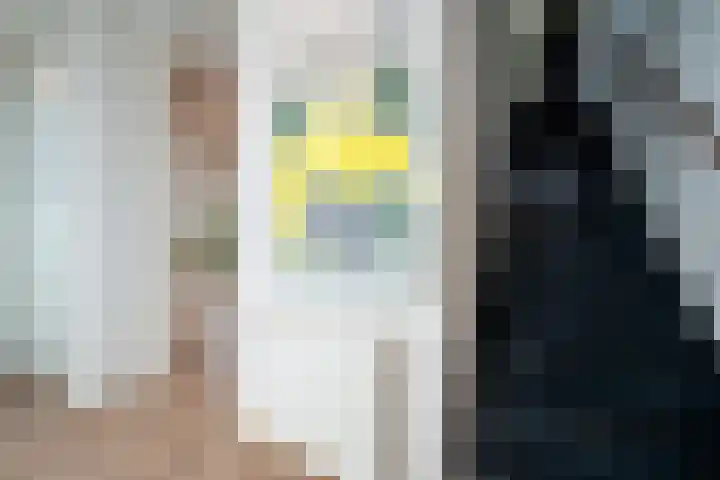 Landsteinerlaan 41 Groningen thumbnail 25