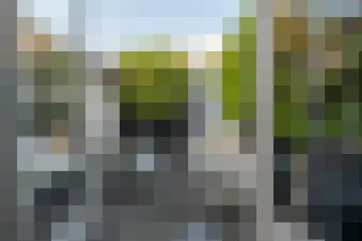 Landsteinerlaan 41 Groningen thumbnail 40