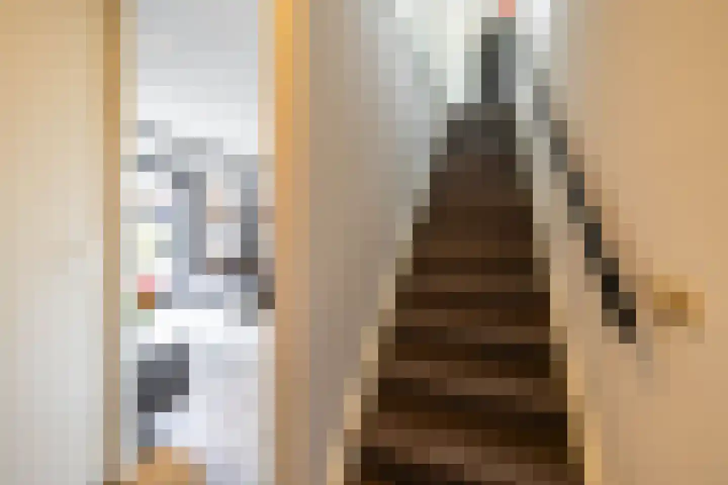 Landsteinerlaan 47 Groningen thumbnail 19