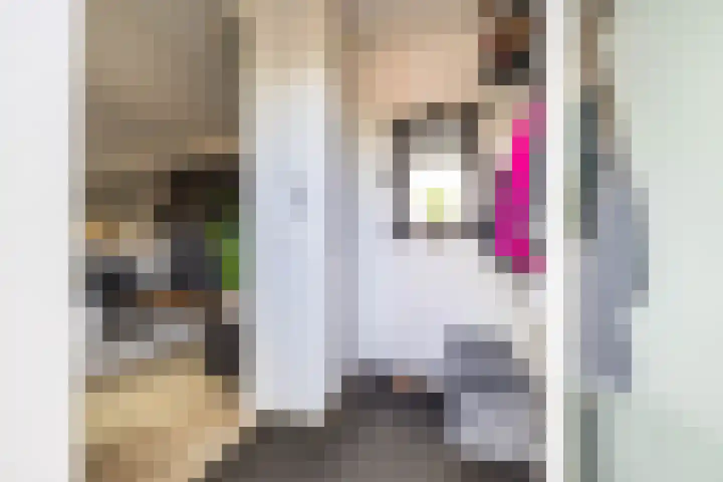 Landsteinerlaan 47 Groningen thumbnail 7