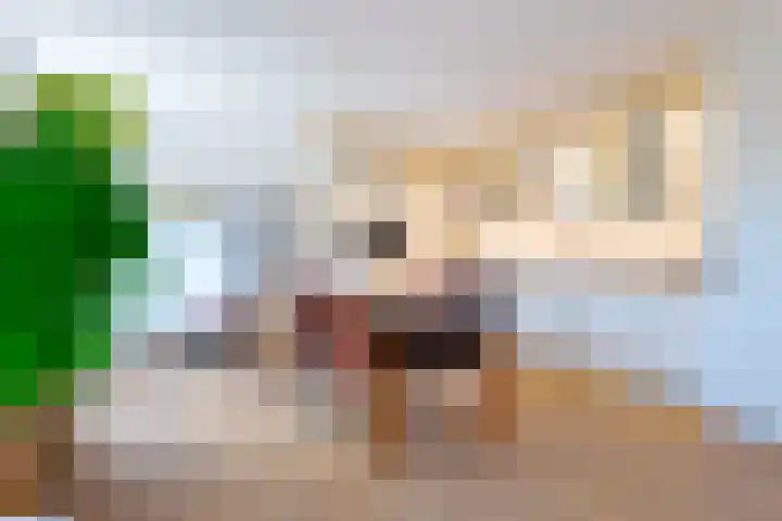Landsteinerlaan 9 Groningen thumbnail 10