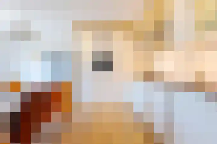 Landsteinerlaan 9 Groningen thumbnail 11