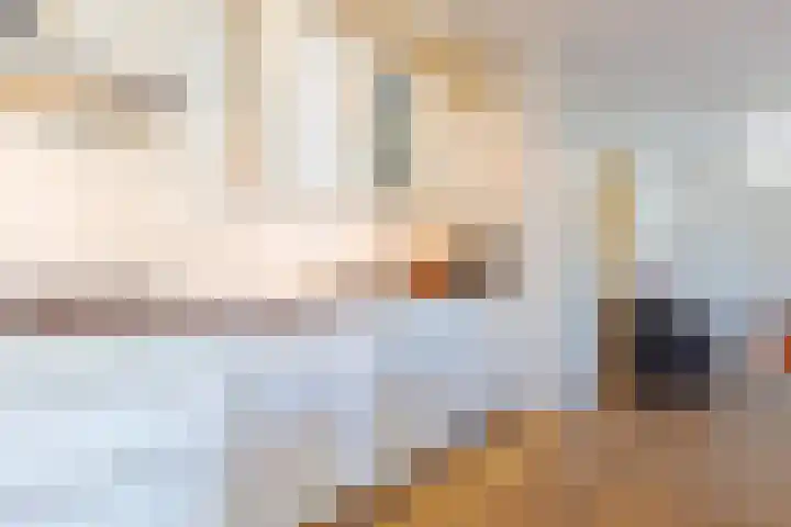 Landsteinerlaan 9 Groningen thumbnail 14