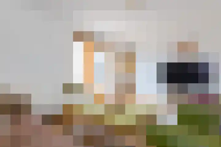 Landsteinerlaan 9 Groningen thumbnail 18