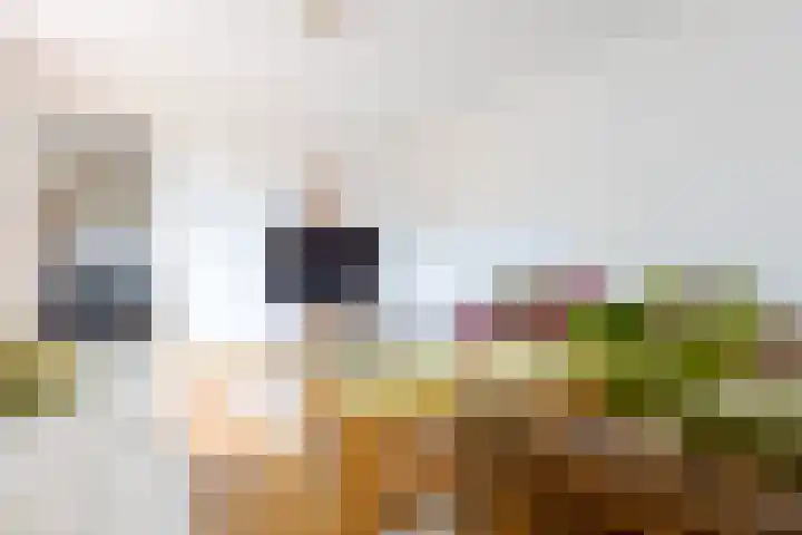 Landsteinerlaan 9 Groningen thumbnail 19