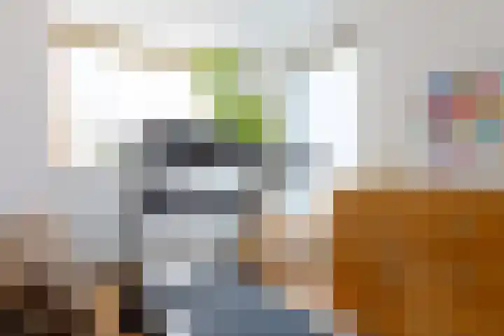 Landsteinerlaan 9 Groningen thumbnail 22