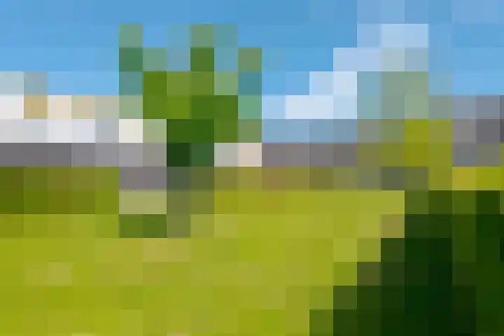 Landsteinerlaan 9 Groningen thumbnail 48
