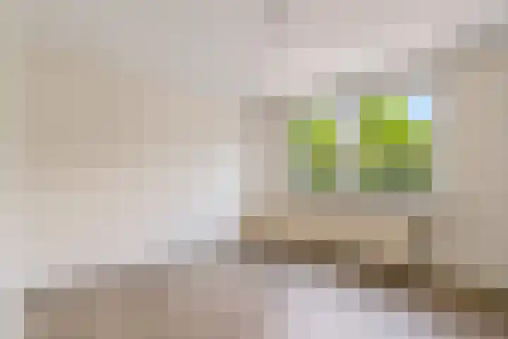 Landsteinerstraat 14 Geleen thumbnail 9