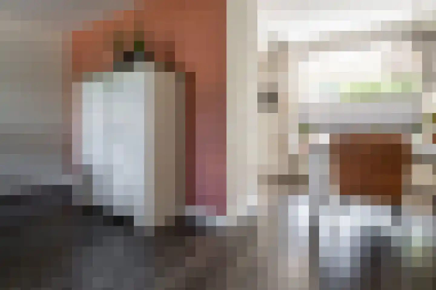 Landsteinerstraat 42 Hengelo thumbnail 10