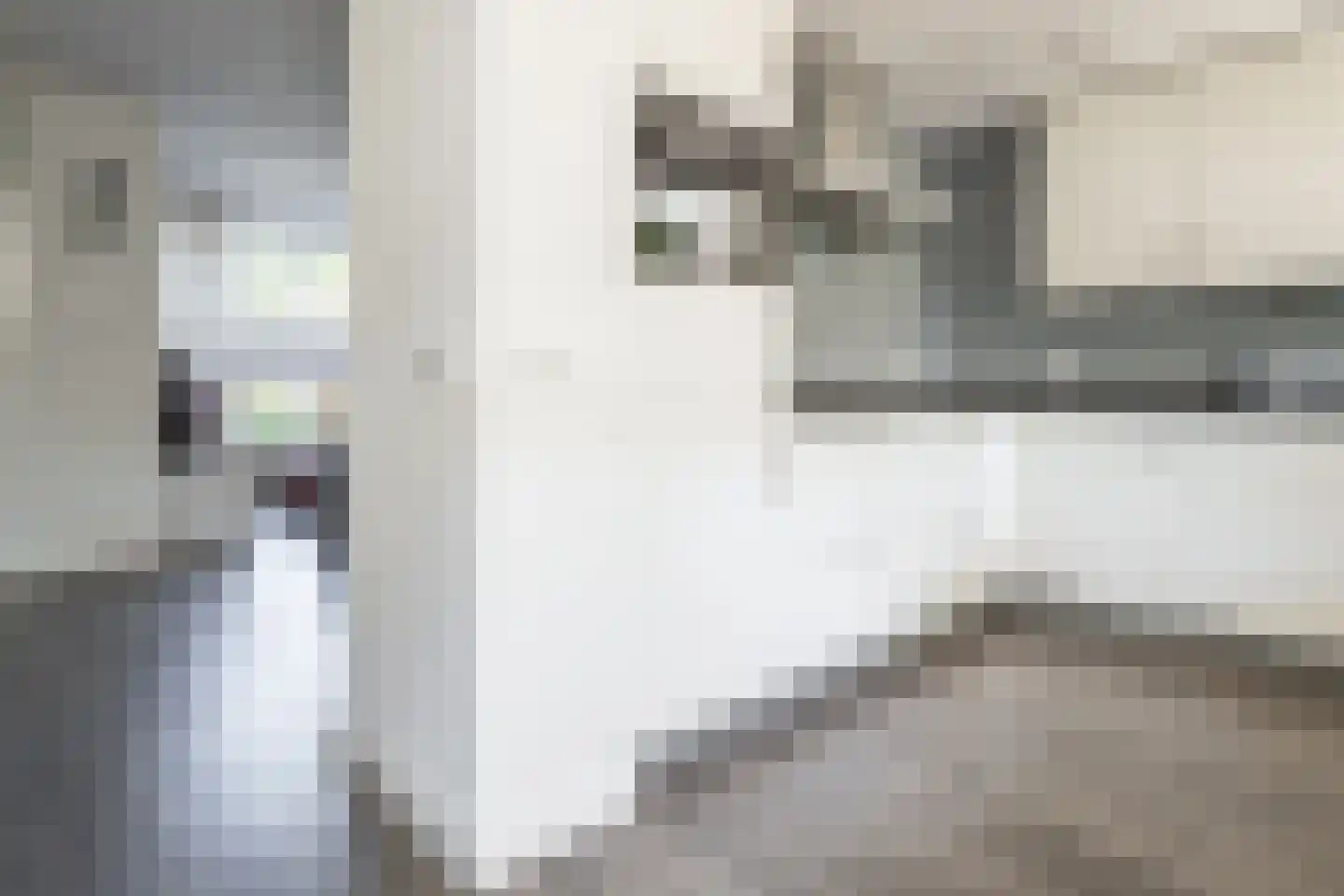 Landsteinerstraat 42 Hengelo thumbnail 12