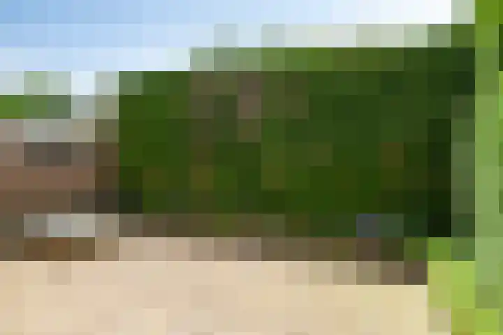 Landsteinerstraat 49 Geleen thumbnail 29