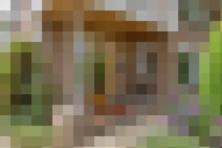 Landsteinerstraat 49 Geleen thumbnail 5