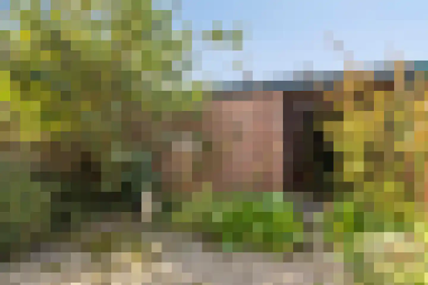 Landsteinerstraat 5 Diemen thumbnail 24
