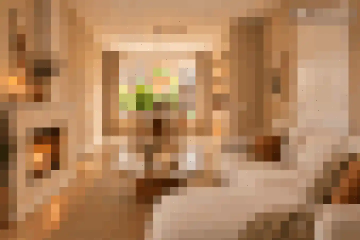 Landsteinerstraat 5 Diemen thumbnail 4
