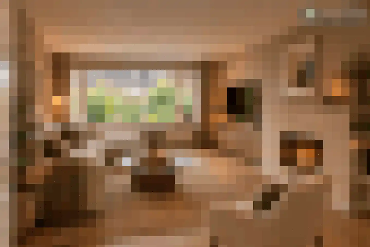 Landsteinerstraat 5 Diemen thumbnail 6