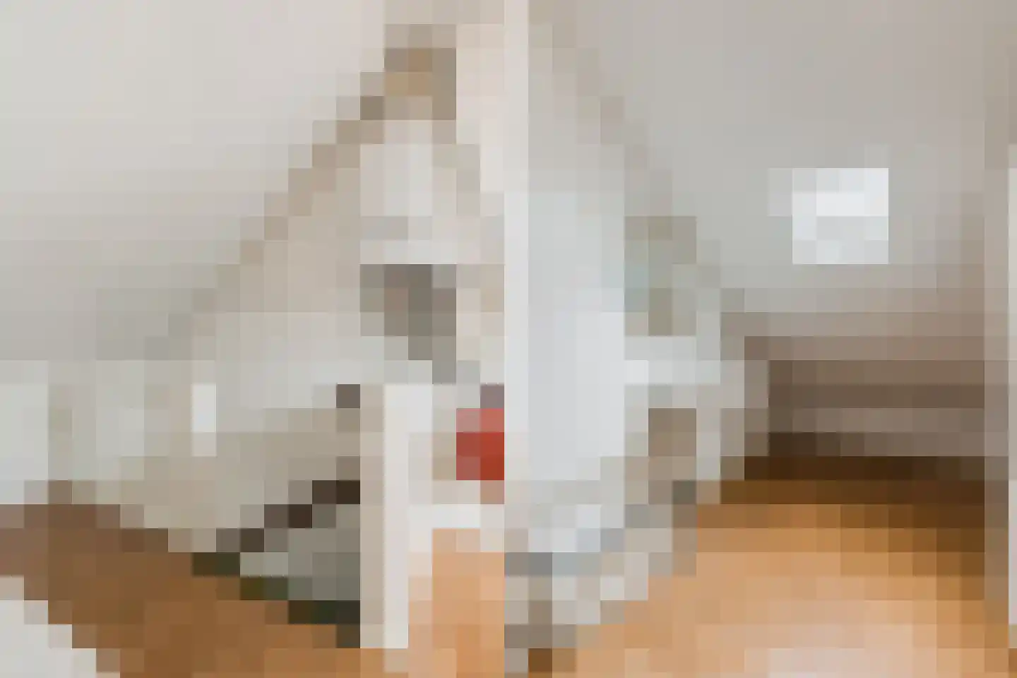 Landsteinerstraat 6 Diemen thumbnail 32