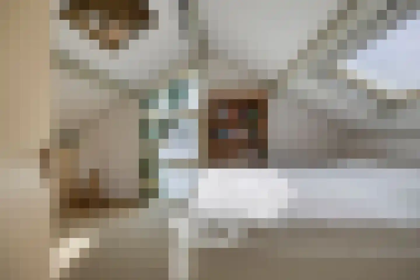Landsteinerstraat 6 Hengelo thumbnail 33