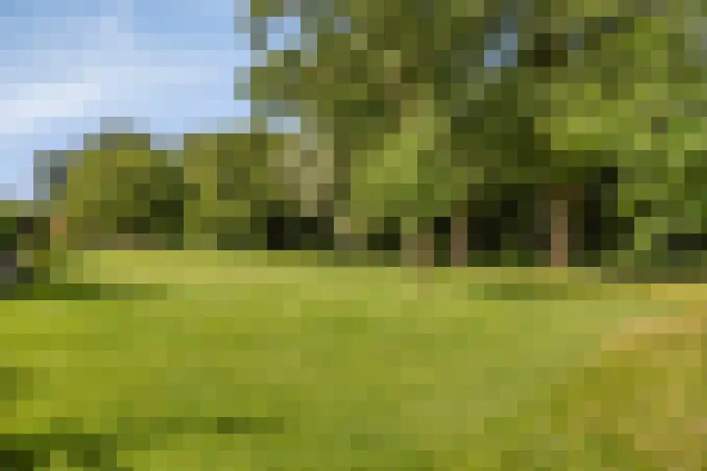 Landsteinerstraat 6 Hengelo thumbnail 41