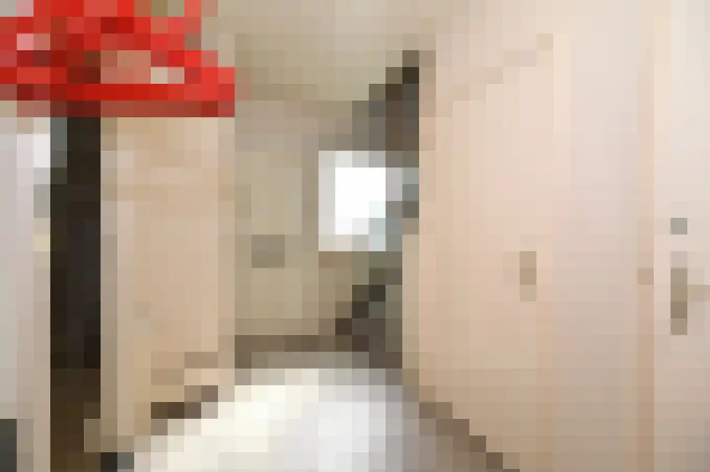 Landsteinerstraat 9 Geleen thumbnail 48