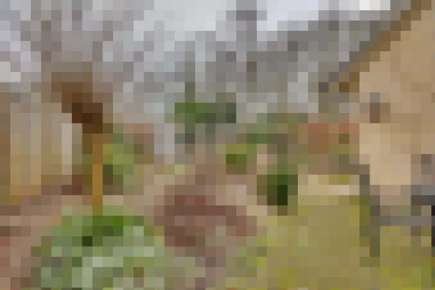 Landsteinerweg 14 Lochem thumbnail 5