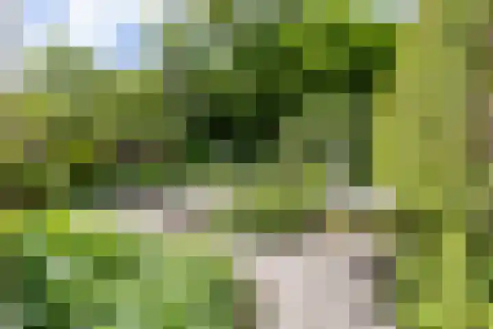 Landsteinerweg 23 Eelde thumbnail 4