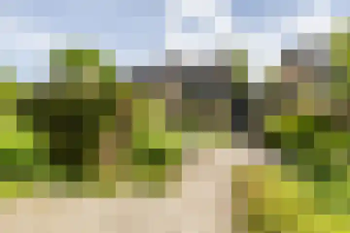 Landsteinerweg 23 Eelde thumbnail 5