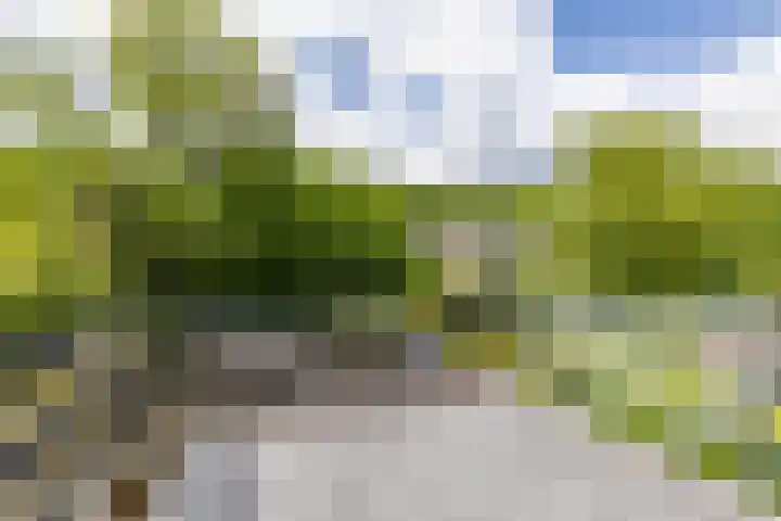 Landsteinerweg 23 Eelde thumbnail 50