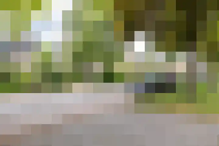 Landsteinerweg 23 Eelde thumbnail 69