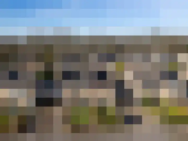 Landsteinerweg 39 Eelde thumbnail 13