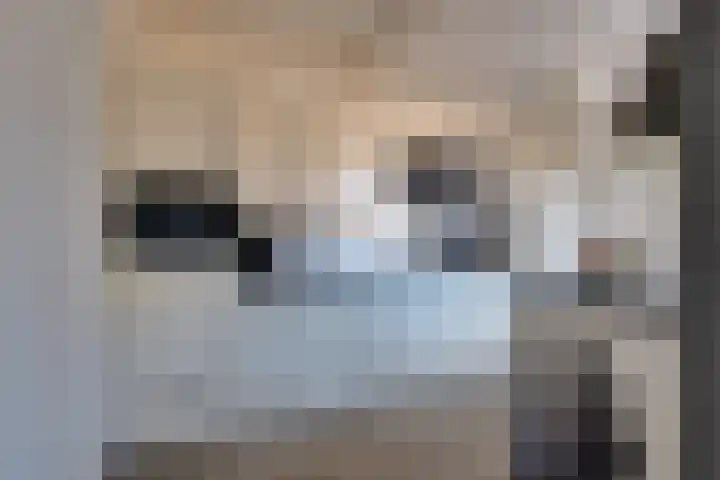 Landsteinerweg 39 Eelde thumbnail 17