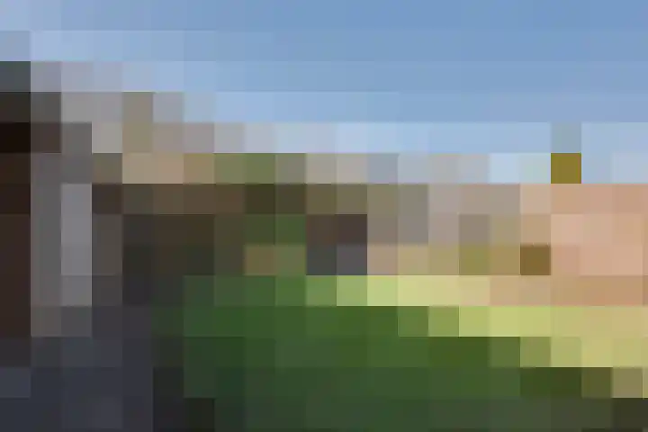Landsteinerweg 39 Eelde thumbnail 21