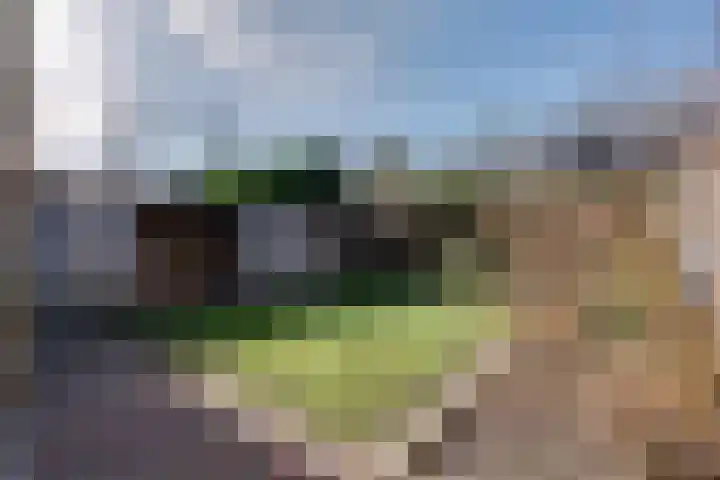 Landsteinerweg 39 Eelde thumbnail 38
