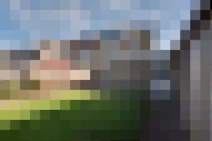 Landsteinerweg 39 Eelde thumbnail 4