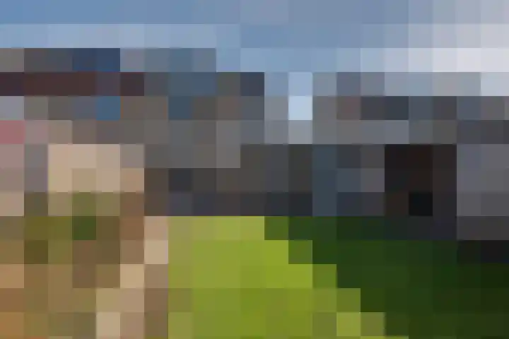 Landsteinerweg 39 Eelde thumbnail 40