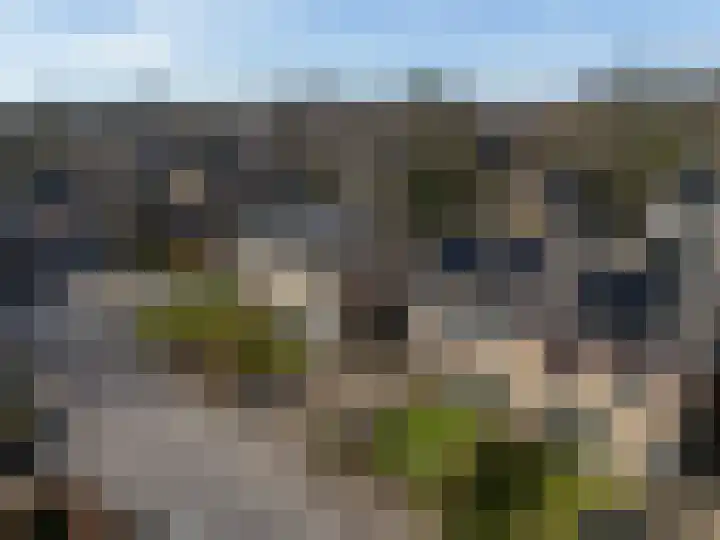 Landsteinerweg 39 Eelde thumbnail 43