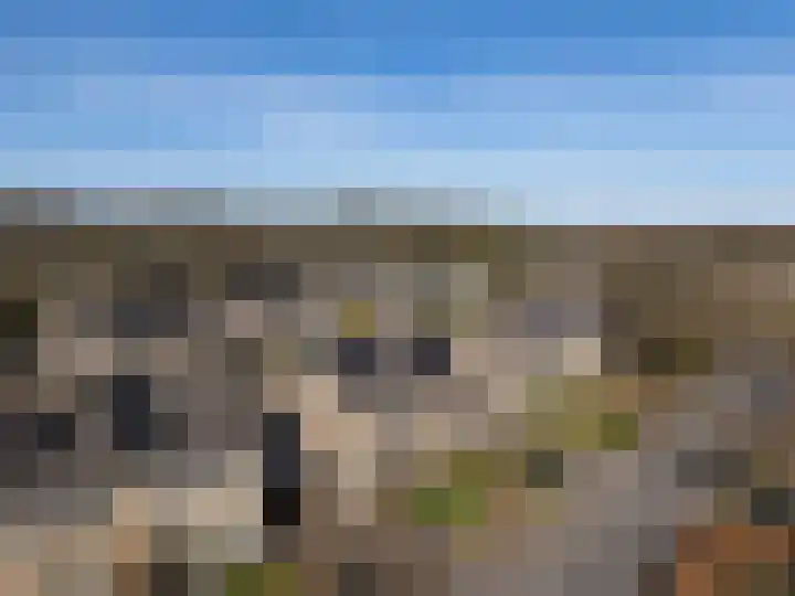 Landsteinerweg 39 Eelde thumbnail 44