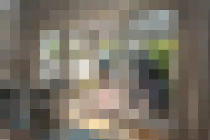 Landstraat 146 Bussum thumbnail 21