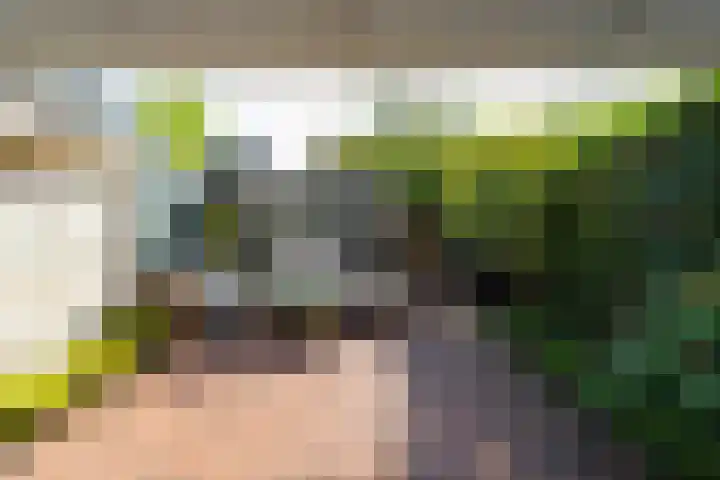 Landstraat 146 Bussum thumbnail 22