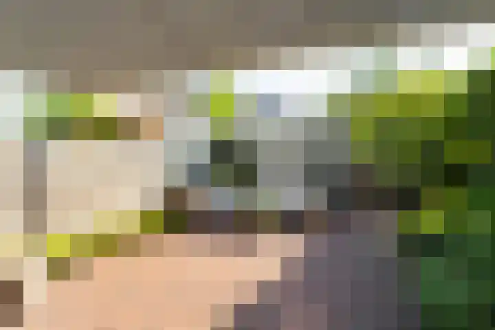 Landstraat 146 Bussum thumbnail 23
