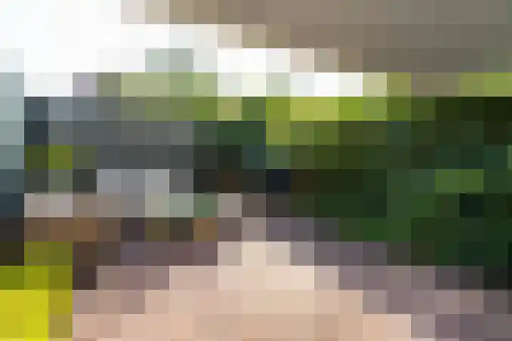Landstraat 146 Bussum thumbnail 24