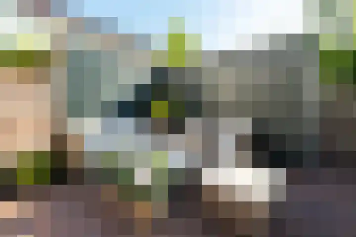 Landstraat 146 Bussum thumbnail 25