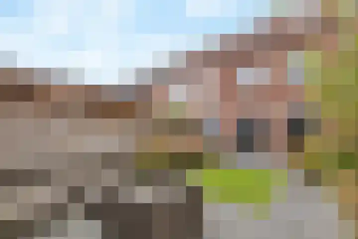 Landstraat 174 Bussum thumbnail 33