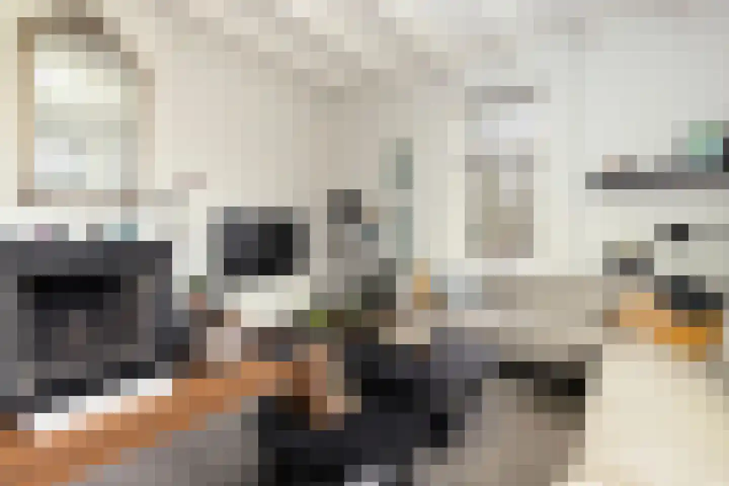 Landstraat 19 Heelweg thumbnail 12