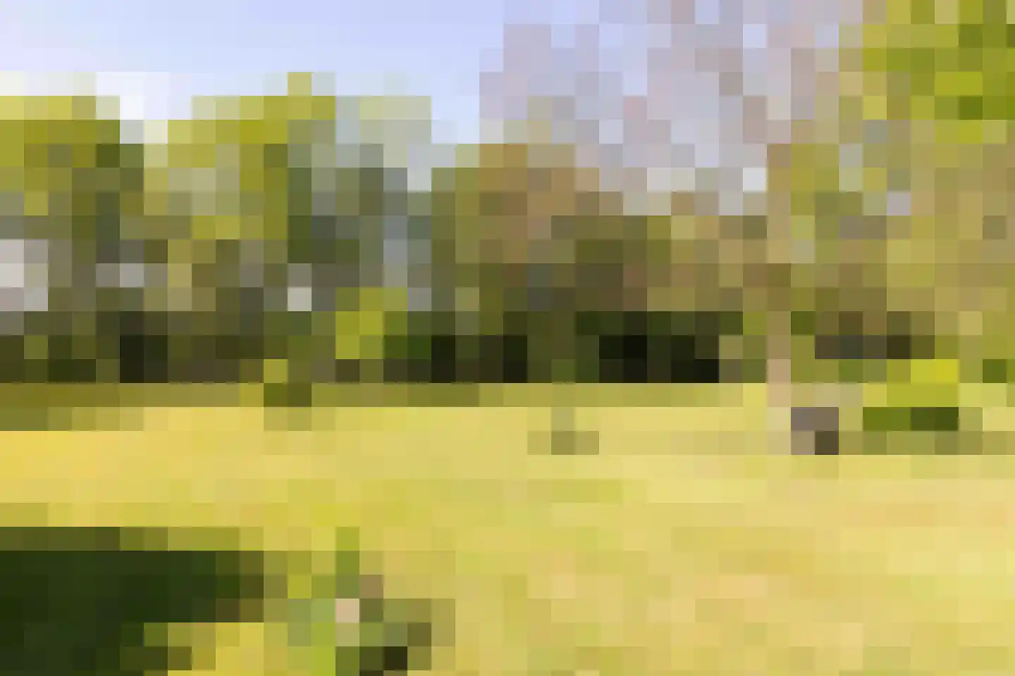Landstraat 19 Heelweg thumbnail 35